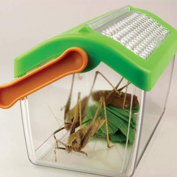 Набір натураліста Контейнер-переноска для жуків