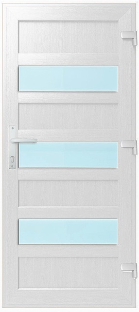 Дверь металлопластиковая Модель №021 Белый (900х2000 мм)