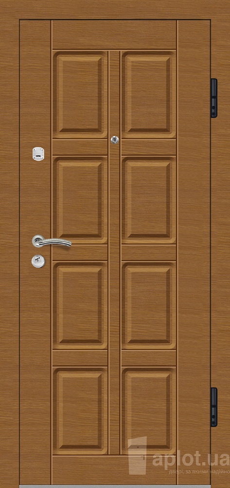 Дверь входная Aplot C401