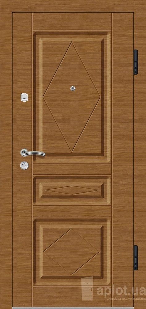 Дверь входная Aplot C403