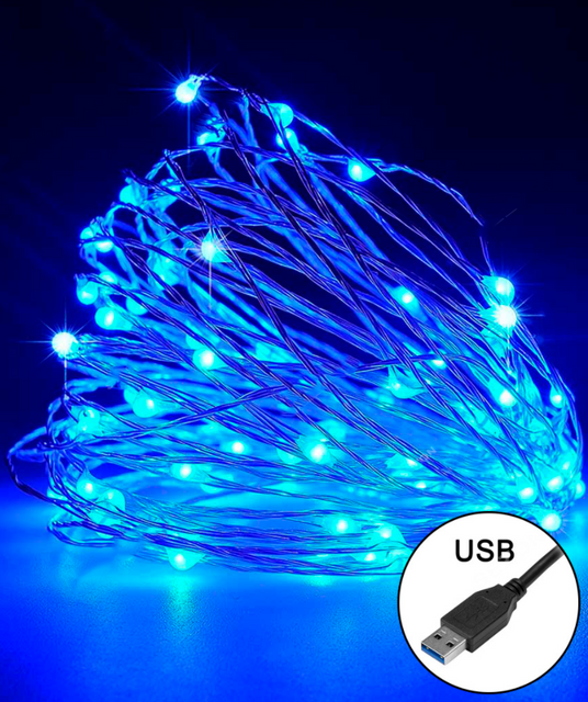 Гірлянда Роса 100LED, 220В + USB, 10м, з синім кольором ламп
