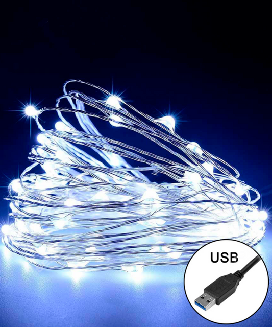 Гірлянда Роса 100LED, 220В + USB, 10м, з білим кольором ламп